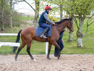BP140425-33 - Squire Danagher (red hat)